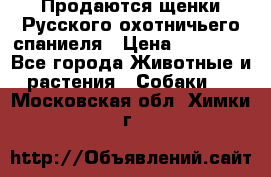 Продаются щенки Русского охотничьего спаниеля › Цена ­ 25 000 - Все города Животные и растения » Собаки   . Московская обл.,Химки г.